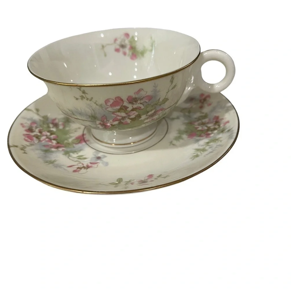 Theodore Haviland, Apple Blossom, Teacup and Saucer, Pink Blossoms.